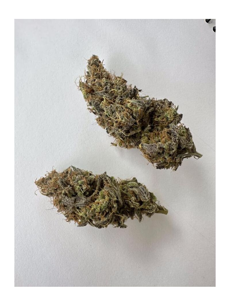 Don Carlos, Фасовка: 3, изображение 3